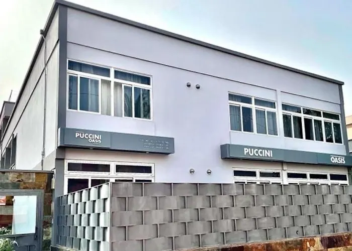 Апартаменты Puccini Oasis - La Rondine Лас-Пальмас-де-Гран-Канария